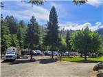 RV sites among the trees - thumbnail