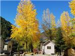 Rental cabins among fall trees - thumbnail