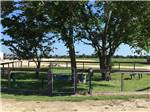 The fenced in pet area at IRON HORSE RV RESORT - thumbnail