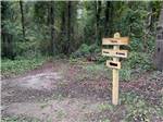 A directional sign in the woods at MIDPOINT I-95 RV PARK - thumbnail