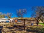 Horses at Lady Lottie Roping Camp - thumbnail