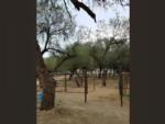 Corral with RV sites in background - thumbnail