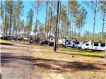 A row of travel trailers parked in sites at DREAM RV PARKS - thumbnail