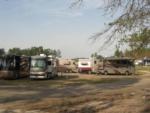 Several class A motorhomes at Moultrie RV Park - thumbnail
