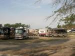 Parked RV's at site Moultrie RV Park - thumbnail