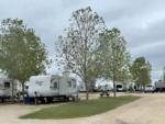 Parked trailers at site East Austin RV Park - thumbnail
