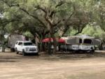 RV's parked under trees at Nueces River RV and Cabin Resort - thumbnail