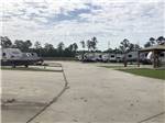 Filled sites at Gator RV Park - thumbnail