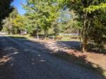 Tree lined gravel sites at Grand Canyon Motel Resort & Campground - thumbnail