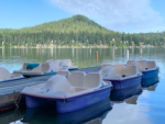 Blue paddle boats at Granite Point Resort - thumbnail