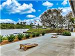 Cornhole area - thumbnail