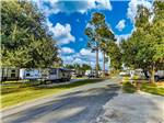 Travel trailers at shaded sites - thumbnail