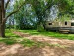 Gravel site by trees at Windmill RV Park Campground - thumbnail