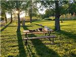 Sunny picnic table overlooking grassy field - thumbnail