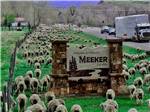 A large group of sheep grazing next to "Welcome to Historic Meeker" sign - thumbnail