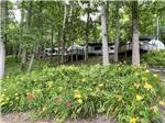 Trailers parked in sites uphill at PLUMTREE CAMPGROUND AND RETREAT - thumbnail