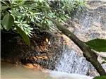 The water flowing in the river nearby at PLUMTREE CAMPGROUND AND RETREAT - thumbnail