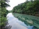 A view of the river surrounded by trees at CAMP COLD SPRINGS - thumbnail
