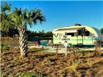 A vintage trailer in a paved site at THE STATION RV RESORT - thumbnail