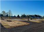 A row of empty paved sites at THE STATION RV RESORT - thumbnail