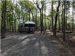 Vintage trailer in the trees at Cloud Camp - thumbnail