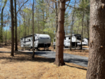 Trailer in tree lined site at Lakewood Park Campground - thumbnail