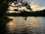 Lake view with boat at site Lakewood Park Campground - thumbnail