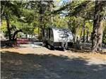 A travel trailer at site with tall trees - thumbnail