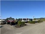 A row of motorhomes and trailers in gravel sites at DUNDEE HILLS RESORT - thumbnail