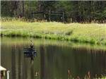 A bird sitting on a metal ring in the lake at KELLY CREEK RV PARK - thumbnail