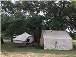 Two glamping tents under trees at REBECCA CREEK CAMPGROUNDS - thumbnail