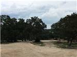 The gravel road into the campground at REBECCA CREEK CAMPGROUNDS - thumbnail