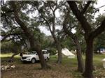 A car and glamping tent under trees at REBECCA CREEK CAMPGROUNDS - thumbnail