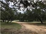 A round gravel road thru the park at REBECCA CREEK CAMPGROUNDS - thumbnail