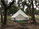 A glamping tent with two chairs in front at REBECCA CREEK CAMPGROUNDS - thumbnail