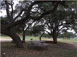 A picnic bench and barbecue pit under the trees at REBECCA CREEK CAMPGROUNDS - thumbnail