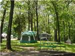 Tents and RVs camped at OAK VALLEY GOLF COURSE & RESORT - thumbnail