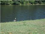 A goose walking near the water at OAK VALLEY GOLF COURSE & RESORT - thumbnail