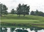 The golf course at OAK VALLEY GOLF COURSE & RESORT - thumbnail
