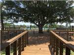 A sitting area under a large tree at SCHATZILAND RV RESORT - thumbnail