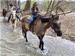 A group of people riding horses in a creek at ELM ACRES RV RESORT - thumbnail
