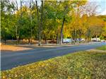 Paved road at park - thumbnail