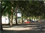 RVs parked on-site at TRI-CITIES RV PARK - thumbnail