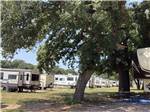 A row of travel trailers in grassy sites at OLD TOWNE RV RANCH - thumbnail