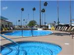 The pool and palm trees at RIO VALLEY ESTATES 55+ MOBILE/RV PARK - thumbnail