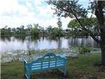 A blue bench next to the lake at SEA GRASS RV RESORT - thumbnail