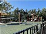 The children's playground - thumbnail