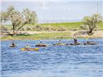 A group of people kayaking at LUCKY LAKE 208 - thumbnail
