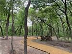 A walking path in the woods at SUNDOWNER RV PARK - thumbnail