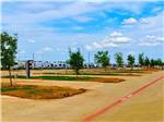 A row of paved RV sites with trees at at THE RV RESORT - thumbnail